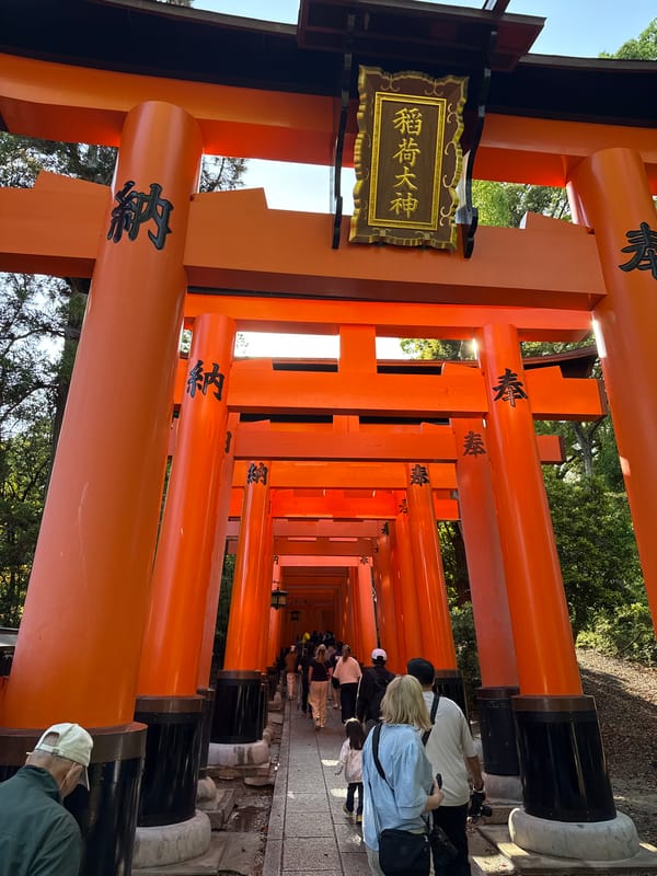 Evening visit captured at Kyoto's Fushimi Inari shrine torii tunnels