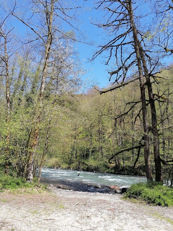 Spring river landscape documented in Chvizhepse, Russia