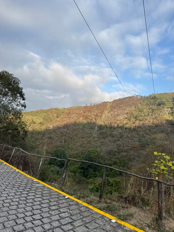 Cobblestone road through vegetated Caracas hillside documented by witness