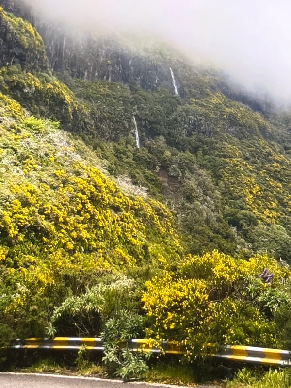 Winding through misty mountain roads with waterfalls and wildflowers