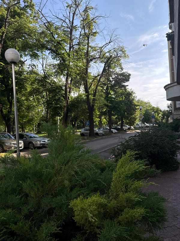 Early morning street scenes documented in Ruse, Bulgaria