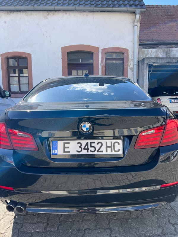 Yorkshire Terrier spotted near Bulgarian-registered BMW on city street