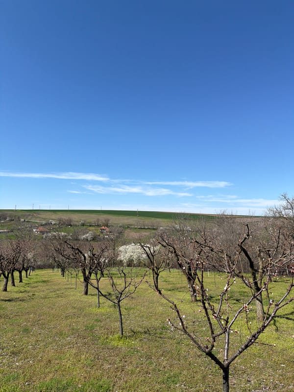 Agricultural landscape documented in Profesor Ishirkovo, Bulgaria