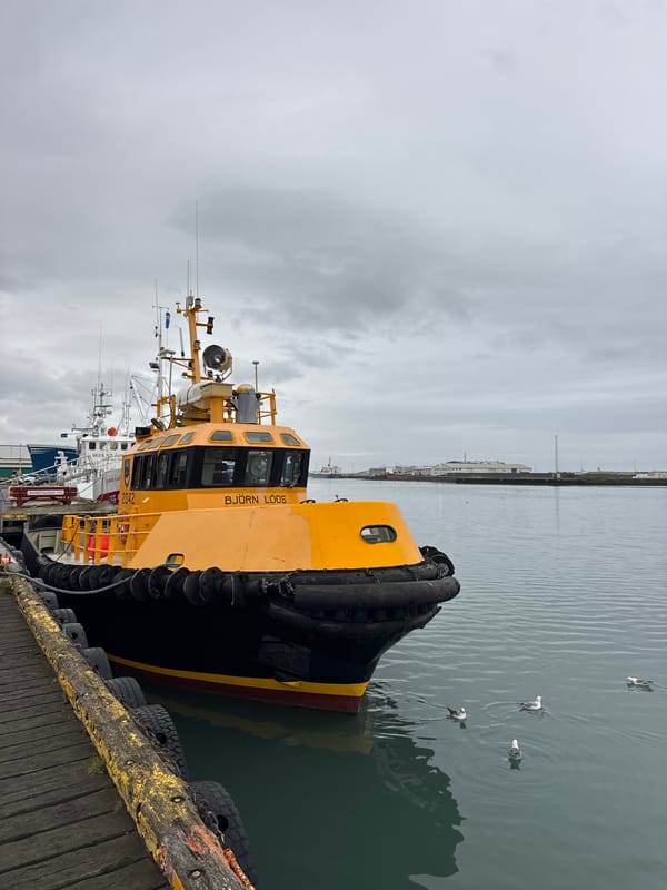 Evening harbor and café scenes documented in Höfn, Iceland