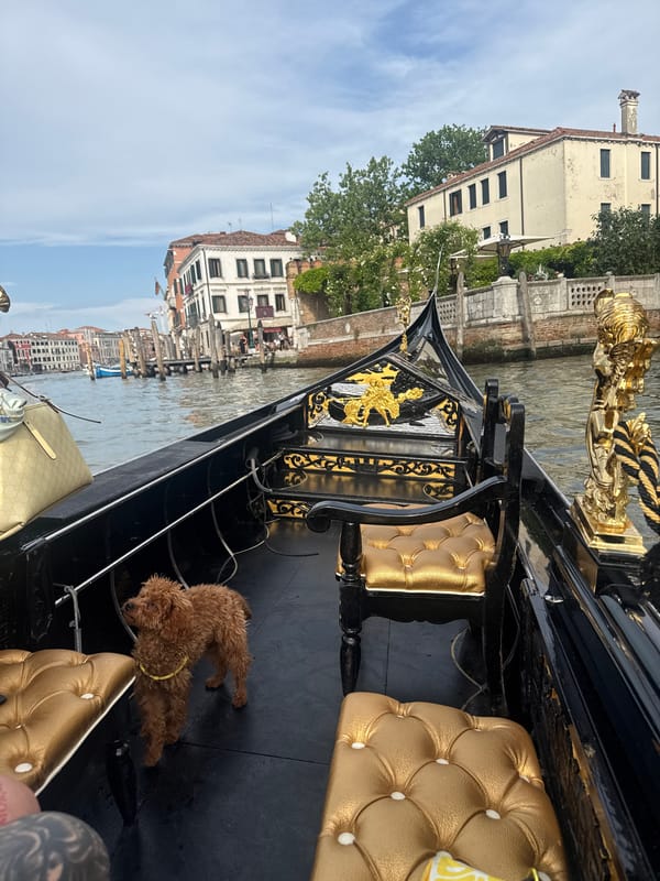 Gondola ride documented from passenger perspective in Venice
