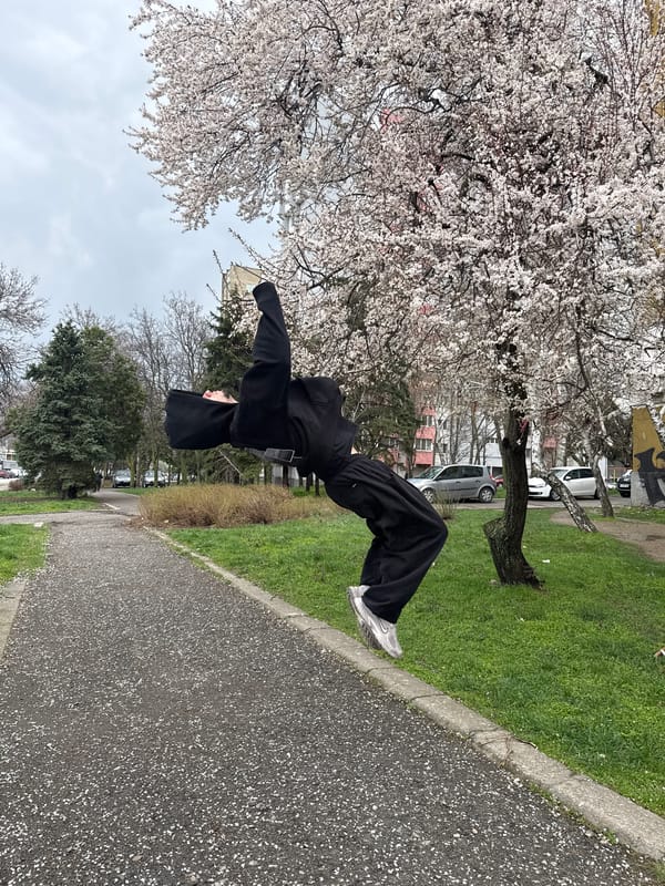 Parkour athletes perform stunts, take selfies in Shumen park