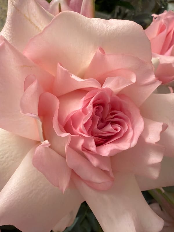 Inside a florist or event space, luxury arrangements and décor on display