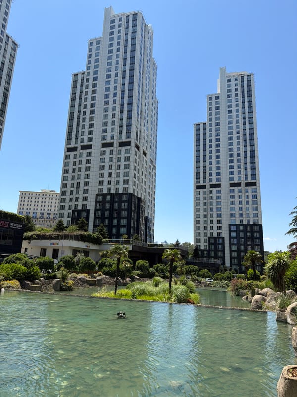Modern Sarıyer streetside: buildings, water feature, parked minivan