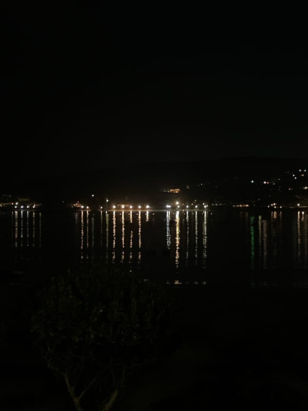 Evening coastal scenes and Black Vulture sightings in Búzios