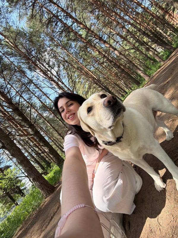 Woman Documents Day Out With Labrador in Forest and Car