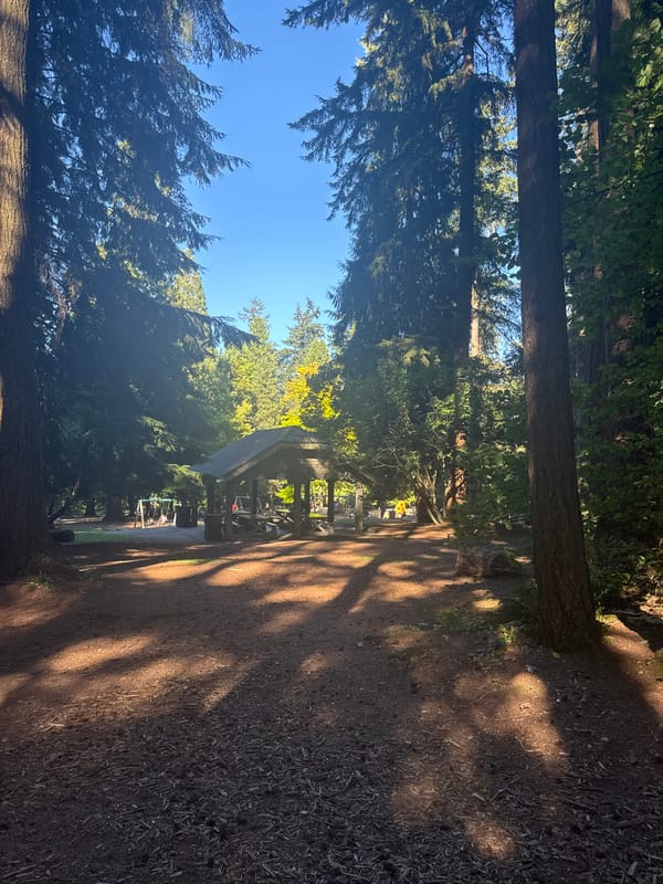 Strolling through an evergreen park and neighborhood streets in New Westminster