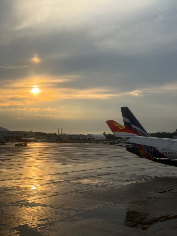 Tarmac and cabin views at Sheremetyevo around sunset