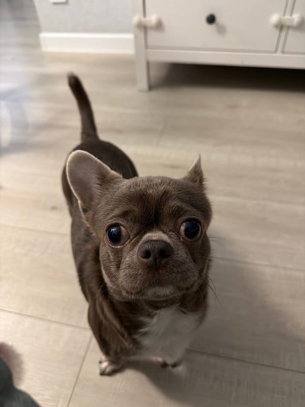 Winter landscape with contrails photographed in Votkinsk, Russia