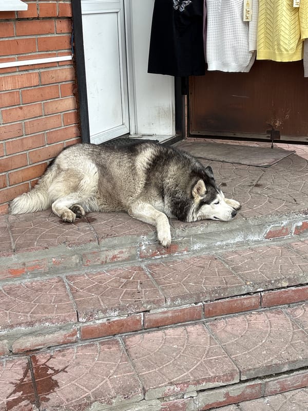Daily life scenes captured in Ulyanovsk, Russia