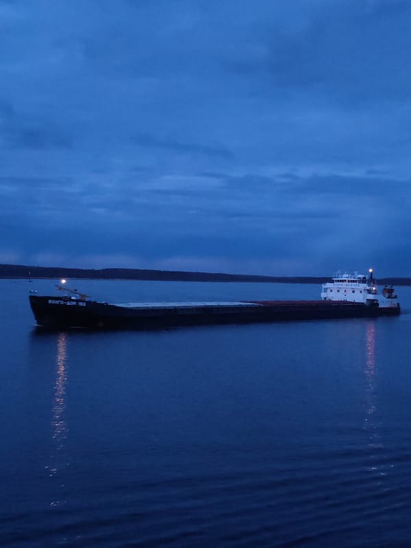 Cargo ship VOLGO-DON 193 transits waters near Gorushka, Russia