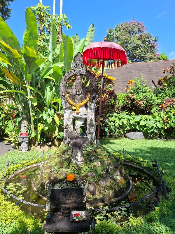 Tourist captures tropical garden scenes in Ubud, Indonesia