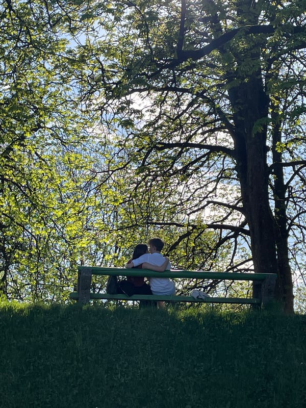 Tourist activity documented at Ljubljana landmarks Tuesday afternoon