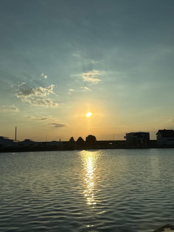 Golden sunset over a waterway, bird resting on rippling water