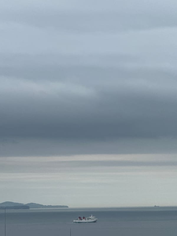 Foggy evening documented across Beppu, Japan from multiple perspectives