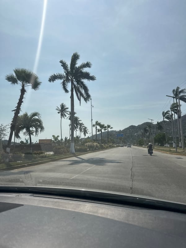 Evening drive along palm-lined road in Puerto Marqués
