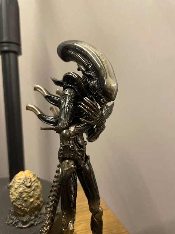 Indoor scenes documented in Vicente López residential area