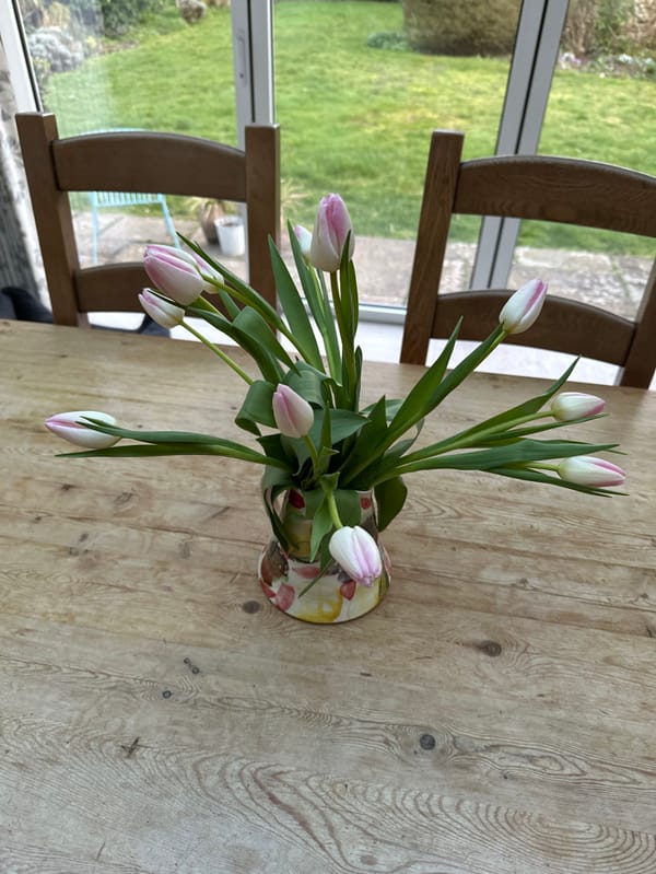 Valentine's dinner preparation with lasagna and tulips in West Suffolk