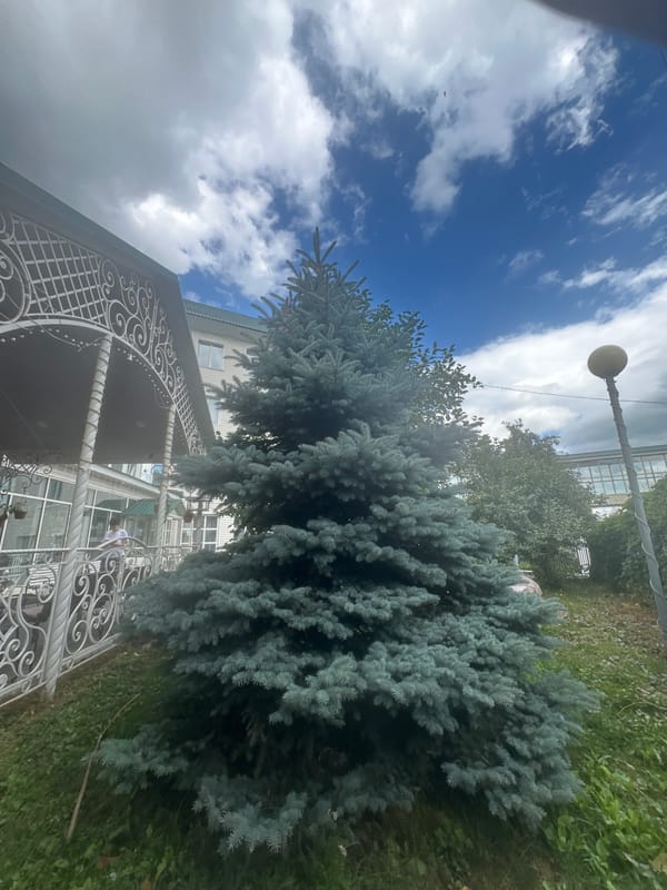 Inside and outside a characterful Altai property with vintage touches