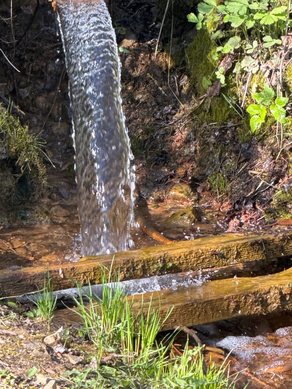 Spring afternoon gathering near natural water features documented