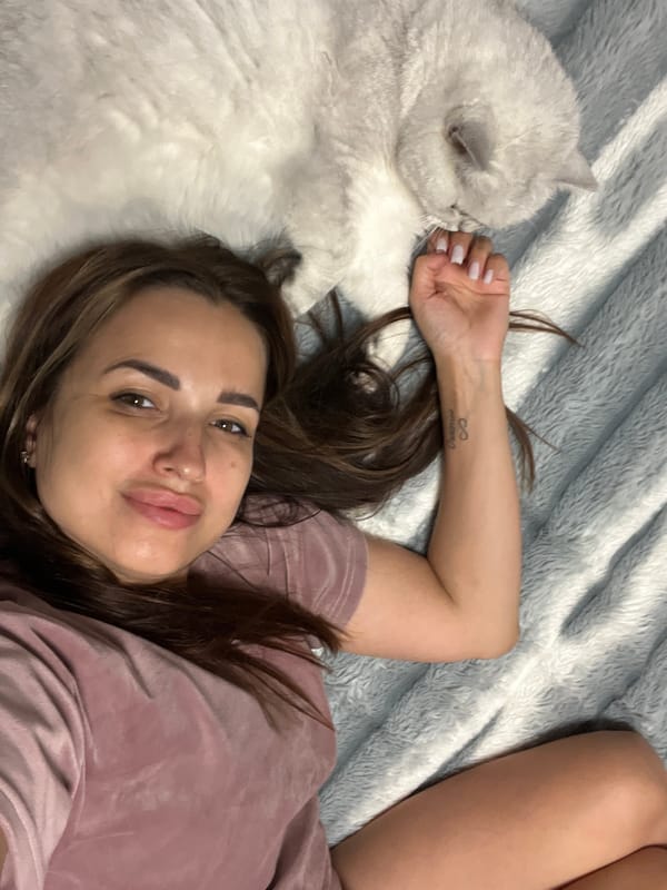 Relaxed afternoon nap time with a fluffy gray-white cat