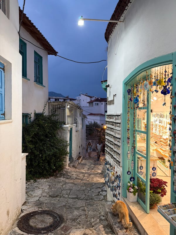 Cats, cobblestones, and harbor light in Marmaris at dusk