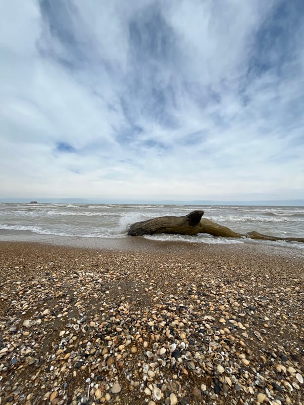 Coastal scenes documented along Kaspiysk beach, Russia