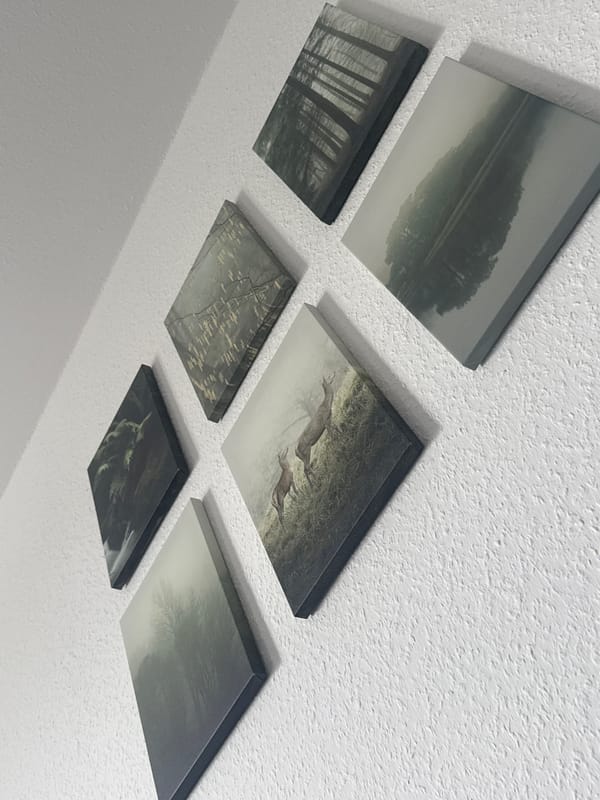 Nature-themed canvas prints arranged on a wall