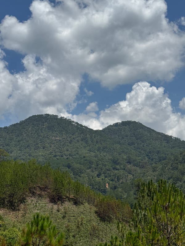 Mountain landscape observed in Da Lat Vietnam early morning
