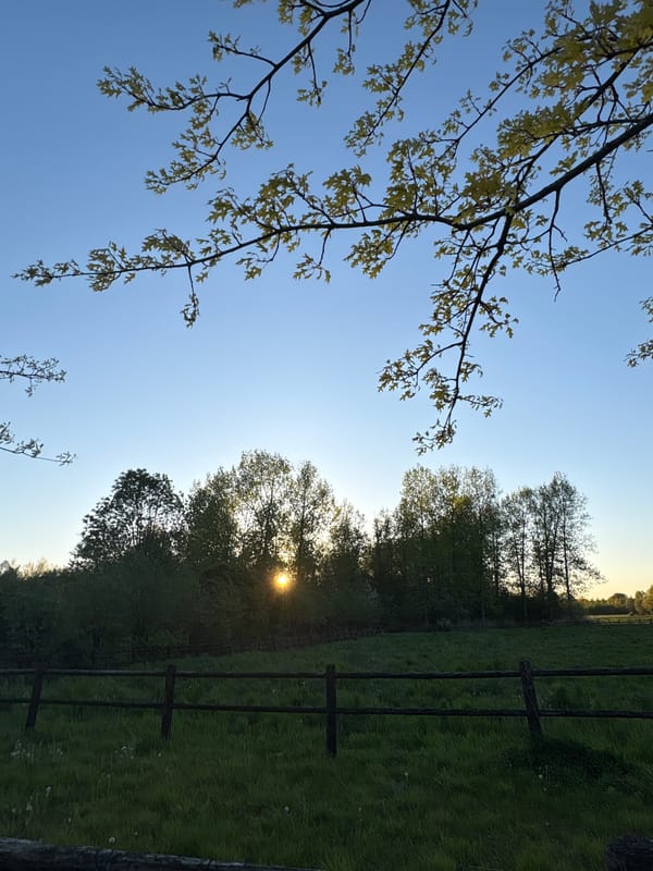 Peaceful waterway scene documented in rural landscape setting