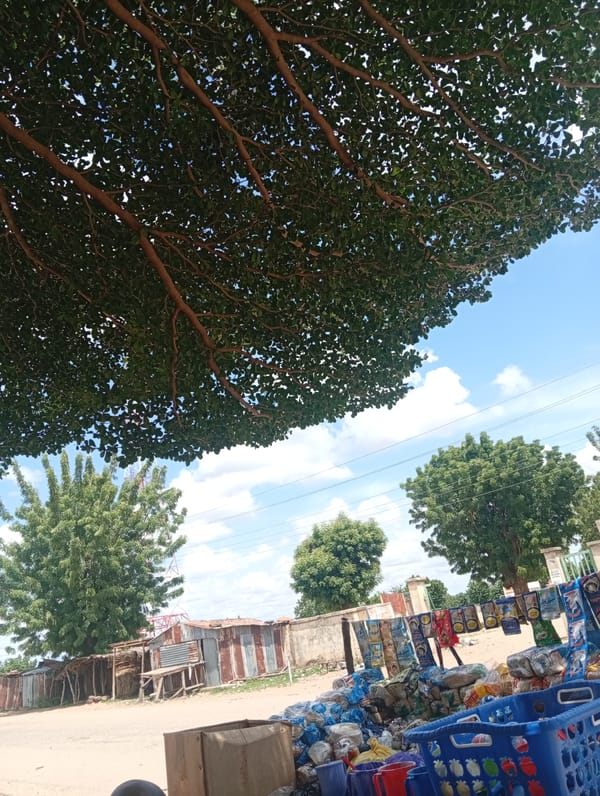Street market activity along a shaded road in Zongoma Kyari