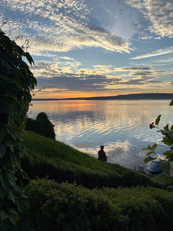 Sunset evening on a Votkinsk lakefront, dog included