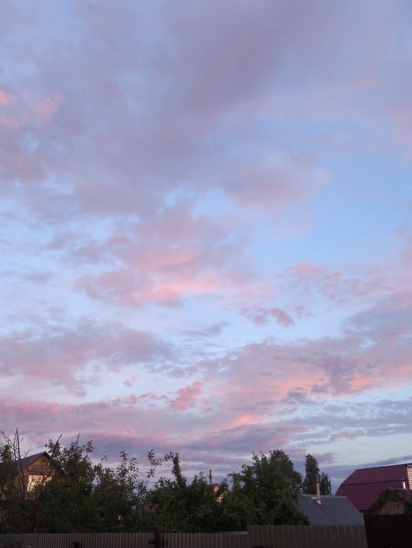 Twilight skies and blooming astilbe in Kulebaki, Russia