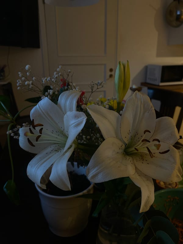 Flower arrangement with white lilies documented in Björklinge, Sweden