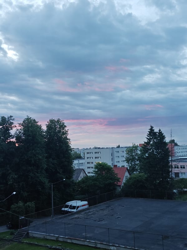 Tallinn midsummer evening: cats, wildflowers, and a soft dusk sky
