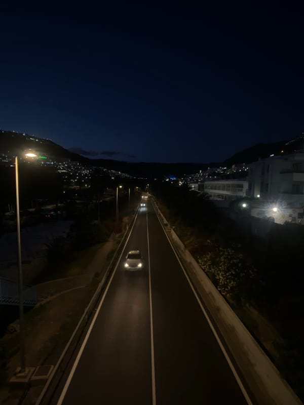 Cats observed on coastal overlooks in Canary Islands at dusk