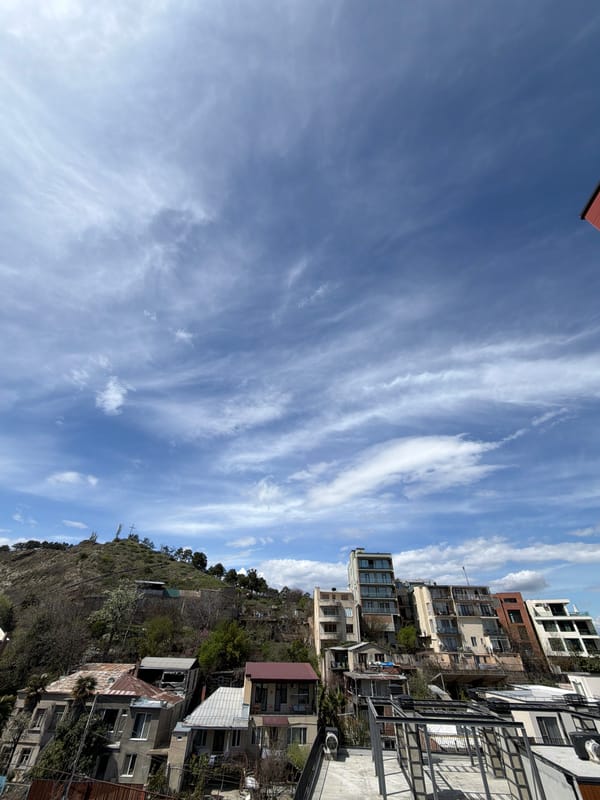 Photographer captures Tbilisi cityscape and selfies in brief morning session