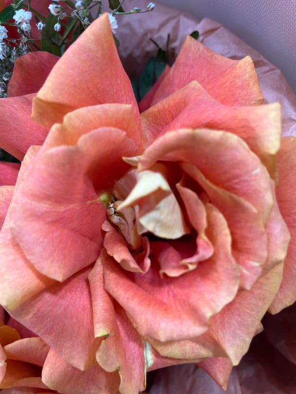 Flower market display features diverse blooms and detailed close-ups