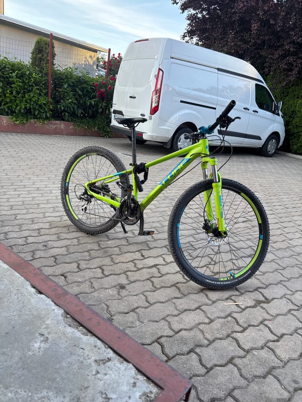 Mountain bike parked beside white van near rose bush