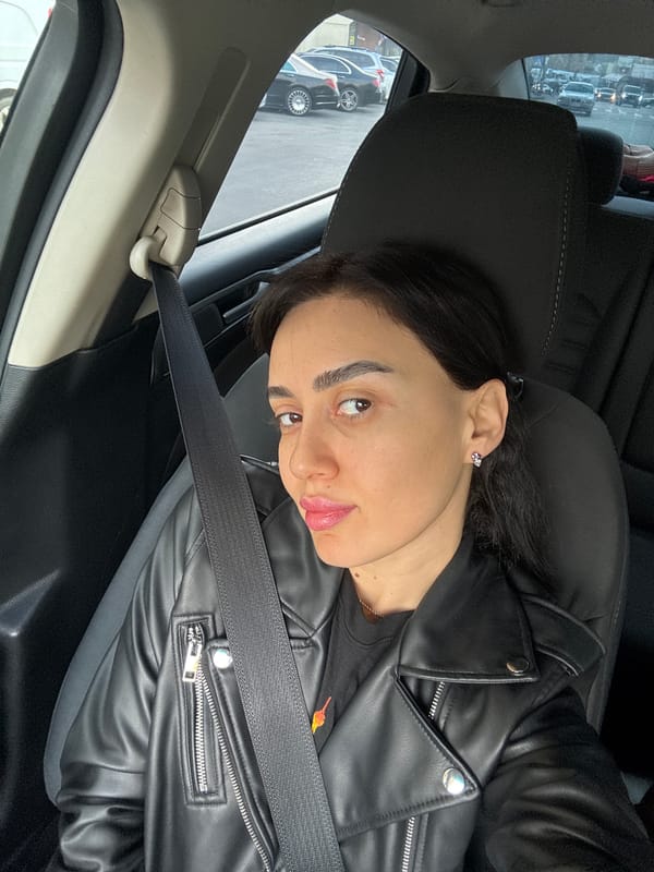 Woman photographed in car on Tbilisi street