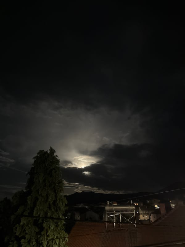 Evening scenes with resting cat documented in Berkovitsa, Bulgaria