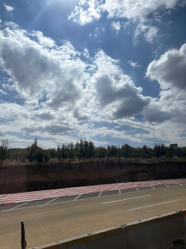 Cloudy sky dominates landscape view with treeline separation