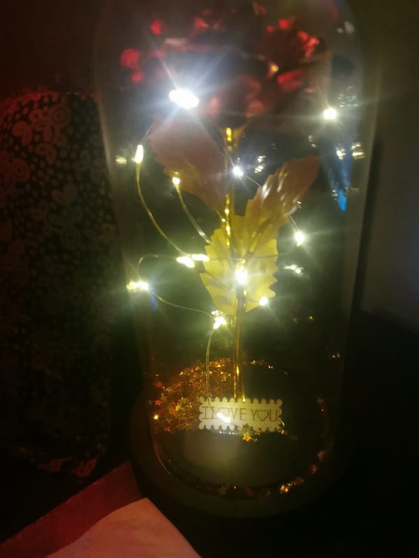 Glass dome with artificial foliage photographed in Bulgaria