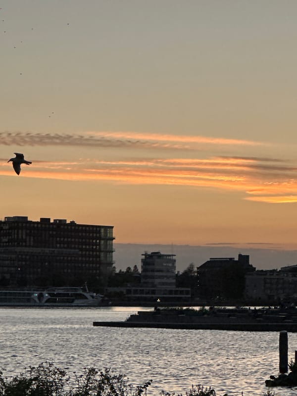 Dusk along the IJ waterfront near A'DAM Toren