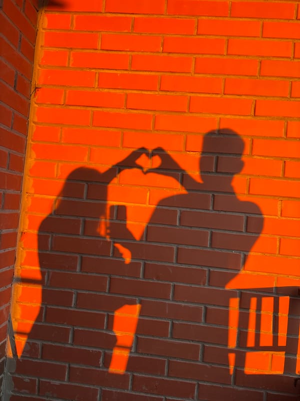 Evening snapshots capture brick walls, salon selfie, cat moments
