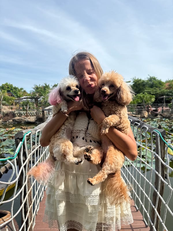 Breezy resort morning in Mũi Né with poodles and palm trees